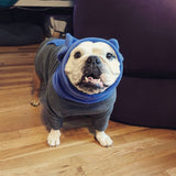 Original BatHat Hoodie for English Bulldogs