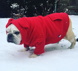 Original BatHat Hoodie for English Bulldogs