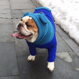 Original BatHat Hoodie 1.0