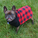 The Popover with Dri-Belly Technology (No Hood)