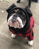 Original BatHat Hoodie for English Bulldogs